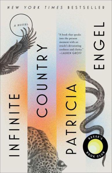 Infinite Country - Diverse Reads