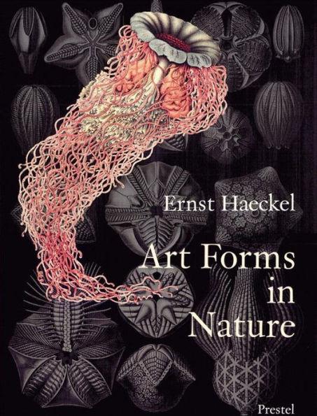 Art Forms in Nature: The Prints of Ernst Haeckel - Paperback | Diverse Reads