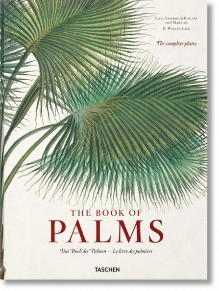 Martius. The Book of Palms - Hardcover | Diverse Reads