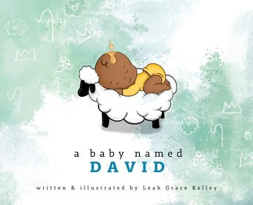 A Baby Named David - Hardcover | Diverse Reads
