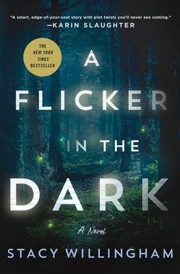 A Flicker in the Dark - Hardcover | Diverse Reads