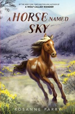 A Horse Named Sky - Hardcover | Diverse Reads