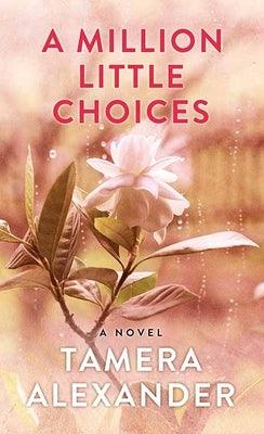 A Million Little Choices - Library Binding | Diverse Reads