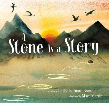 A Stone Is a Story - Hardcover | Diverse Reads