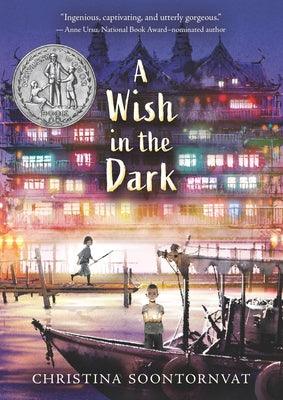A Wish in the Dark - Paperback | Diverse Reads
