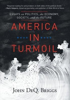 America in Turmoil: Essays on Politics, the Economy, Society, and the Future - Hardcover | Diverse Reads