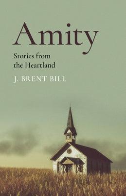 Amity: Stories from the Heartland - Paperback | Diverse Reads