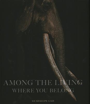 Among the Living: Where You Belong - Hardcover | Diverse Reads
