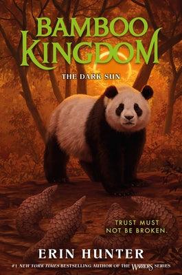 Bamboo Kingdom #4: The Dark Sun - Hardcover | Diverse Reads