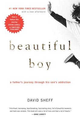 Beautiful Boy: A Father's Journey Through His Son's Addiction - Paperback | Diverse Reads