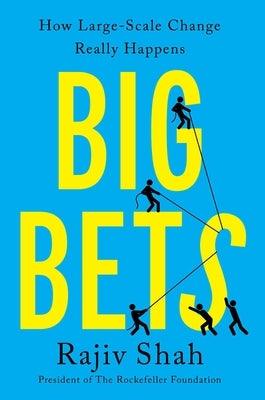 Big Bets: How Large-Scale Change Really Happens - Hardcover | Diverse Reads