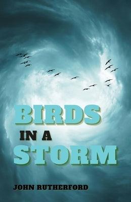 Birds in a Storm - Paperback | Diverse Reads
