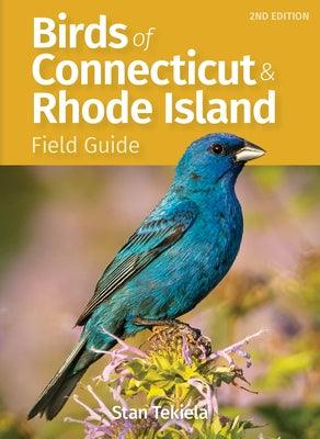 Birds of Connecticut & Rhode Island Field Guide - Paperback | Diverse Reads