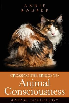 Crossing the Bridge to Animal Consciousness: Animal Soulology - Paperback | Diverse Reads