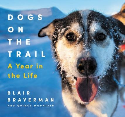 Dogs on the Trail: A Year in the Life - Hardcover | Diverse Reads