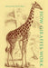 How Giraffes Work - Hardcover | Diverse Reads