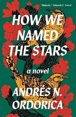 How We Named the Stars - Paperback | Diverse Reads