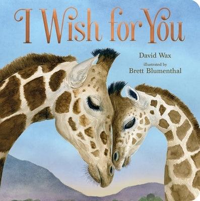 I Wish for You - Board Book | Diverse Reads