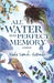 All Water Has Perfect Memory - Paperback | Diverse Reads