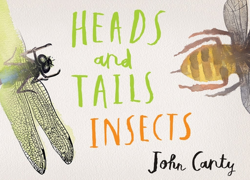Heads and Tails: Insects - Hardcover | Diverse Reads