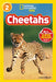 Cheetahs - Paperback | Diverse Reads