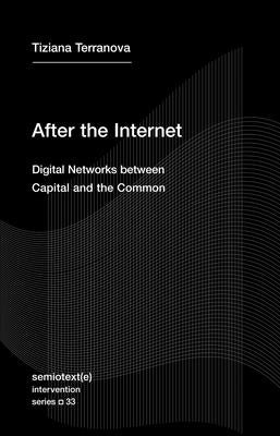 After the Internet: Digital Networks between Capital and the Common - Paperback | Diverse Reads