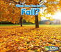 What Can You See in Fall? - Paperback | Diverse Reads