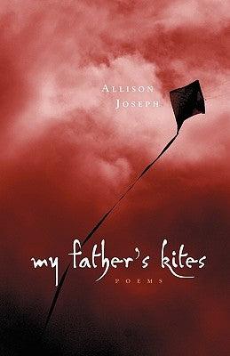 My Father's Kites - Paperback |  Diverse Reads