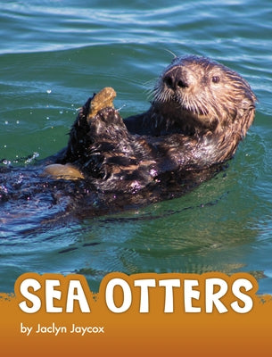 Sea Otters - Hardcover | Diverse Reads