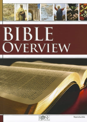 Bible Overview - Paperback | Diverse Reads