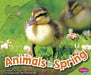 Animals in Spring - Paperback | Diverse Reads