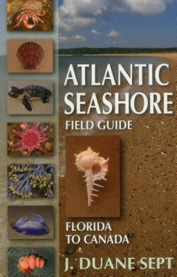 Atlantic Seashore Field Guide: Florida to Canada - Paperback | Diverse Reads