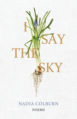 I Say the Sky: Poems - Hardcover | Diverse Reads