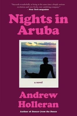 Nights in Aruba - Paperback | Diverse Reads
