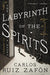 The Labyrinth of the Spirits - Paperback | Diverse Reads