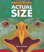 Prehistoric Actual Size - Hardcover | Diverse Reads