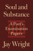 Soul and Substance: A Poet's Examination Papers - Paperback | Diverse Reads