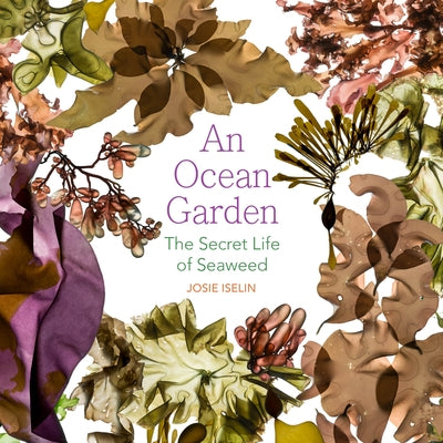 An Ocean Garden: The Secret Life of Seaweed - Paperback | Diverse Reads