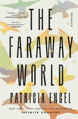 The Faraway World: Stories - Paperback | Diverse Reads