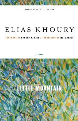 Little Mountain - Paperback | Diverse Reads