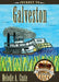 Journey to Galveston - Hardcover | Diverse Reads