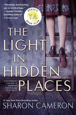 The Light in Hidden Places - Paperback | Diverse Reads