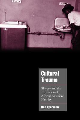 Cultural Trauma: Slavery and the Formation of African American Identity - Paperback | Diverse Reads