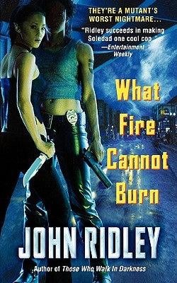 What Fire Cannot Burn - Paperback |  Diverse Reads