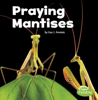 Praying Mantises - Paperback | Diverse Reads
