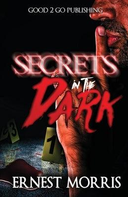Secrets in the Dark - Paperback |  Diverse Reads