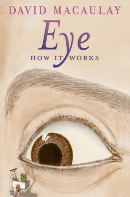 Eye: How It Works - Paperback | Diverse Reads