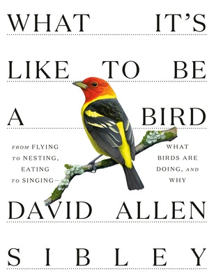 What It's Like to Be a Bird: From Flying to Nesting, Eating to Singing--What Birds Are Doing, and Why - Hardcover | Diverse Reads