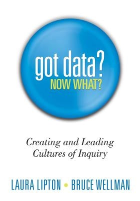 Got Data? Now What?: Creating and Leading Cultures of Inquiry - Paperback | Diverse Reads