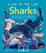 Sharks (A Day in the Life): What Do Great Whites, Hammerheads, and Whale Sharks Get Up To All Day? - Hardcover | Diverse Reads